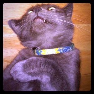 🤪 BARE WITH ME - IM NEW AT THIS 🤪